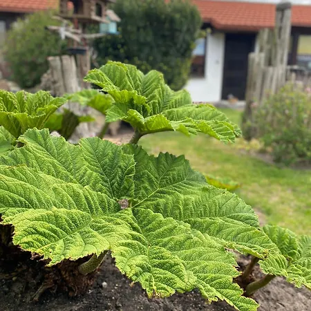 Vakantieboerderij Urlaub 